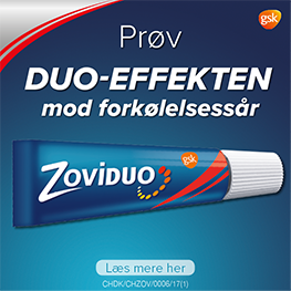 Zoviduo Banner A Jan 2025