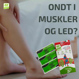 FIT Banner A Feb 2025