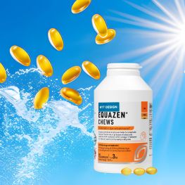 Equazen Banner C Juni 2025