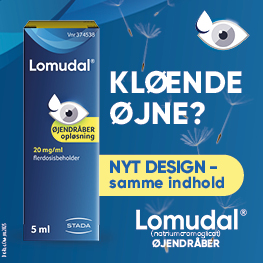 Lomudal Banner D Juli 2025
