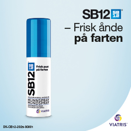 SB12 Banner A Juli 2025