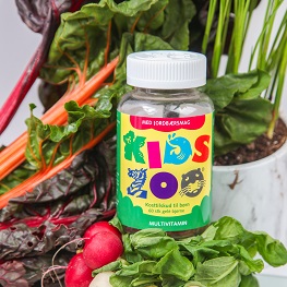 Kids Zoo Banner B Okt 2025
