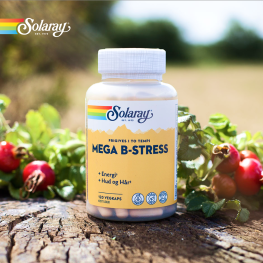 Solaray Mega B Banner A . Okt 2025