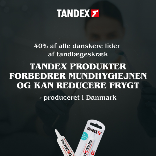 Tandex Banner E Okt 2025