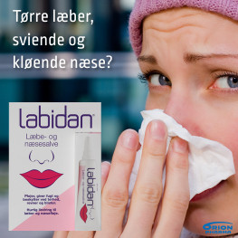 Labidan Banner C Dec 2025