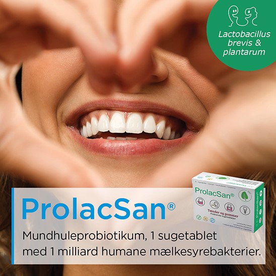 Prolacsan Banner B Dec 2025