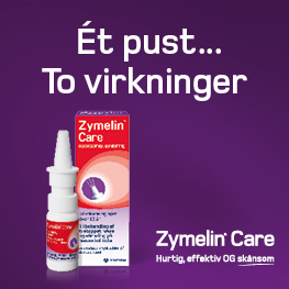 Zymelin Banner D Dec 2025