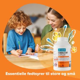 Equazen Banner C Jan 2026