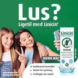 Linicin Banner B, D Jan 2026