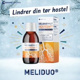 Meliduo Banner B Jan 2026