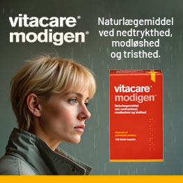 Modigen Banner B Jan 2026