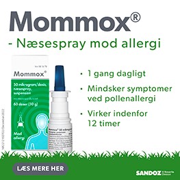 Mommox Banner E Jan 2026