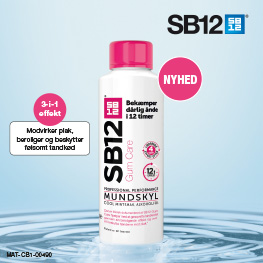 SB12 Banner A, Mundskyl Jan 2026