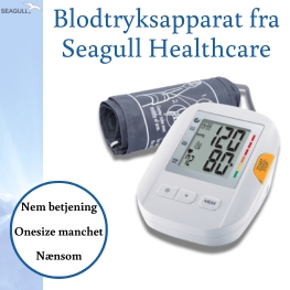 Seagull Banner A Jan 2026