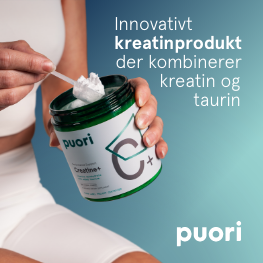 A. Vogel Banner B Jan 2026