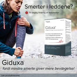 Giduxa Banner C Jan 2026