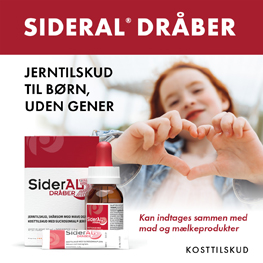 Sideral Banner B Jan 2026