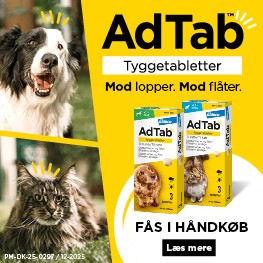 Adtab Banner A Feb 2026