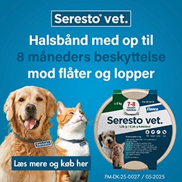 Seresto Banner A Feb 2026