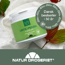 Urte Pensil Banner C Feb 2026