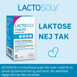Lactosolv Banner E Feb 2026