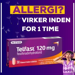 Telfast Banner D Feb 2026