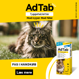 Adtab Banner C April 2026