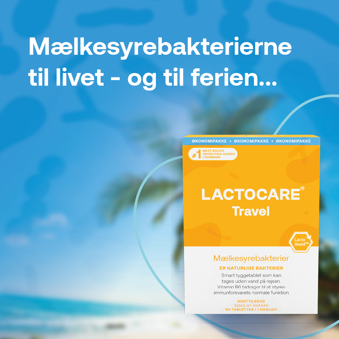 Lactocare Banner A