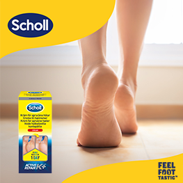 Scholl Banner A Maj 2026