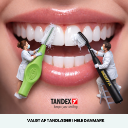 Tandex Banner E
