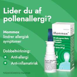 Mommox Banner E
