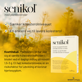 Senikol Banner E (1)