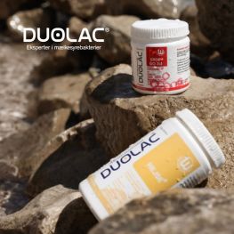 Duolac Rejse Banner A Rejse Juli 2026