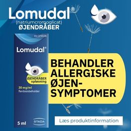 Lomudal Banner D Juli 2026