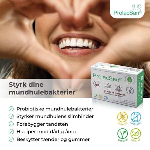 Prolacsan Banner B Juli 2026