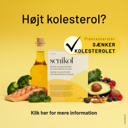 Senikol Banner B Juli 2026