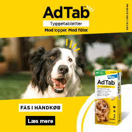 Adtab Banner A August 2026
