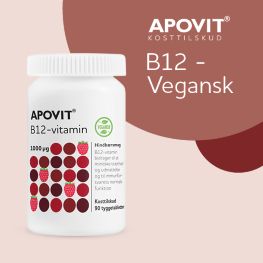 Apovit B 12 Banner A Forside August 2026