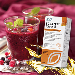 Equazen Banner B August 2026