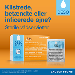 Desoclean Banner C August 2026