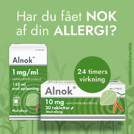 NR2603068554 Alnok Web Banner 263X263