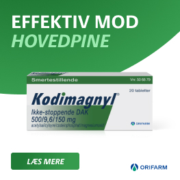 Kodimagnyl Banner B Sep 2026