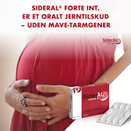 Sideral Banner A Nov 2026