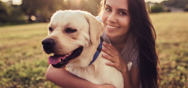 Undgå flåtangreb på dit kæledyr » Læs 4 gode råd mod flåter her!