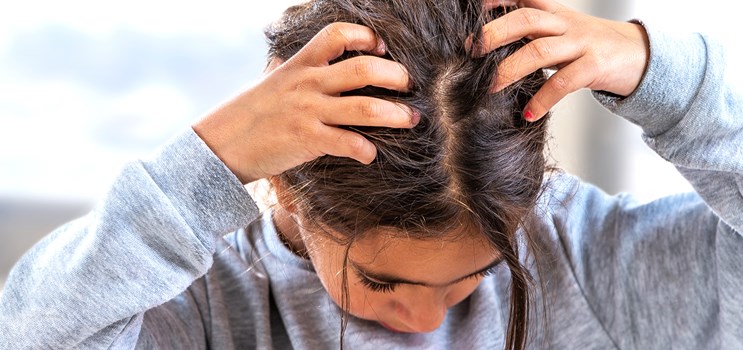 Forebyg lus: Bliv kampklar til lusesæsonen