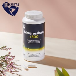 Magnesium +300 Banner A Maj 2023