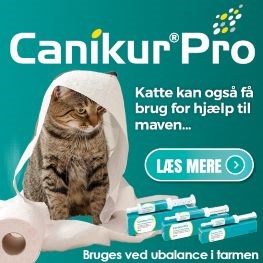 Canikur Pro Banner A, D Sep 2023